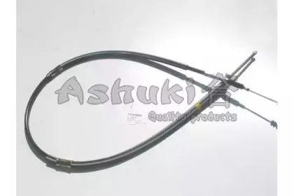 ashuki-11790002