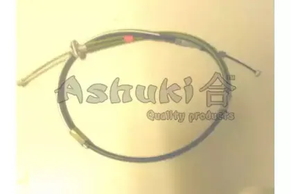 ashuki-11791002
