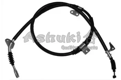 ashuki-11791303