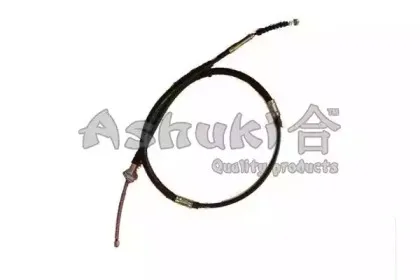 ashuki-11793402