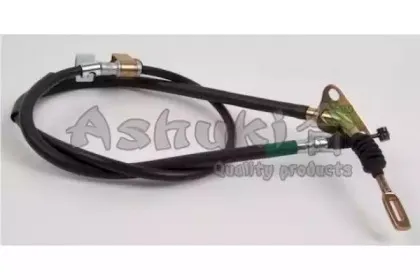 ashuki-11797003