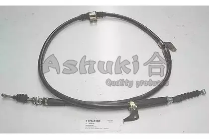 ashuki-11797103
