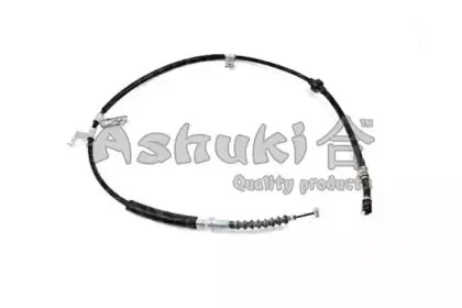 ashuki-11797404