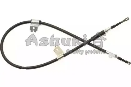 ashuki-11798101