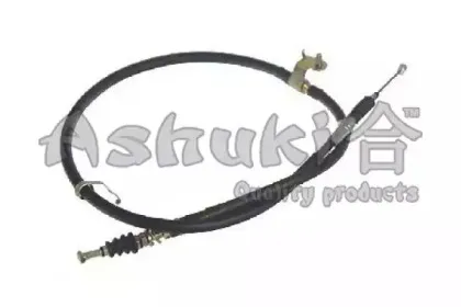 ashuki-11799003