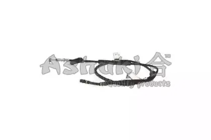 ashuki-11799004