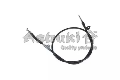 ashuki-11799301