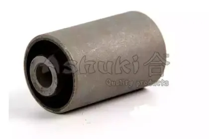 ashuki-12690004