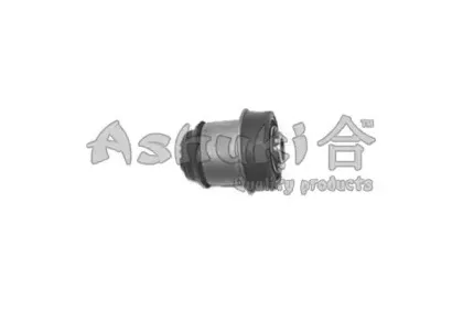 ashuki-12696001