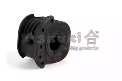 ashuki-12696005