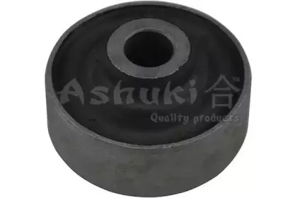 ashuki-12696008