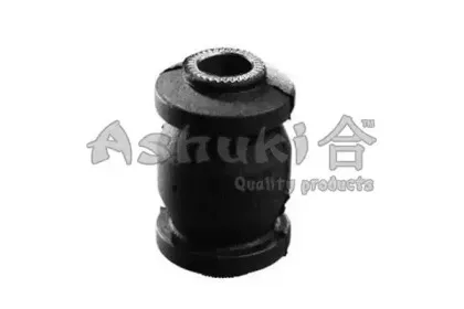 ashuki-12699002