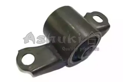 ashuki-12720003