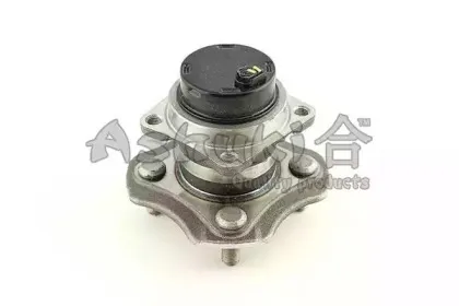 ashuki-14132702