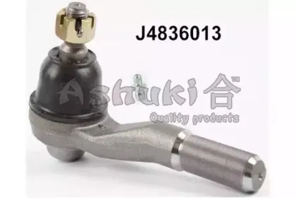 ashuki-14493106