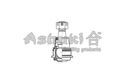 ashuki-14580201