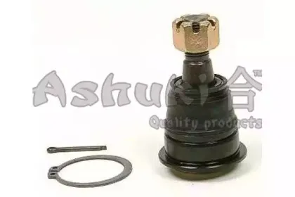 ashuki-14581301