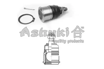 ashuki-14582004