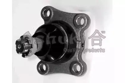 ashuki-14582010