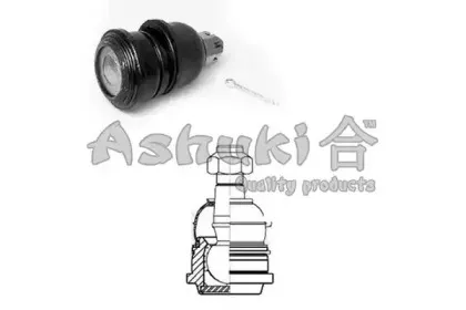 ashuki-14583201