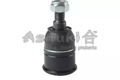 ashuki-14584104