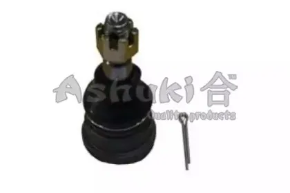 ashuki-14584201