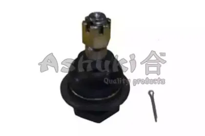 ashuki-14585301
