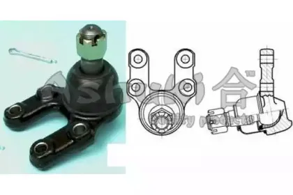 ashuki-14586001