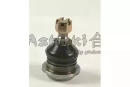 ashuki-14586201