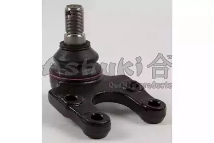 ashuki-14589101