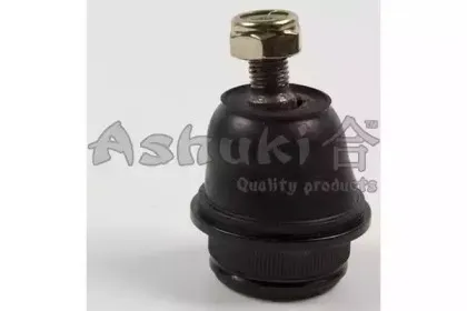 ashuki-14589201