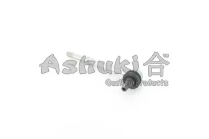 ashuki-14589301
