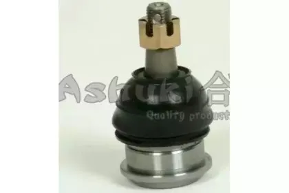 ashuki-14589302