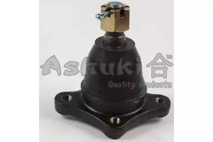 ashuki-14640010