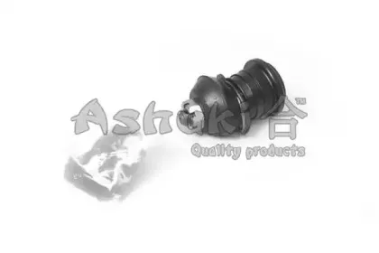 ashuki-14642005