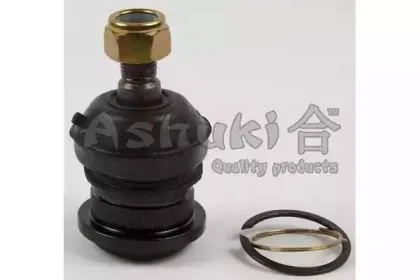 ashuki-14645005