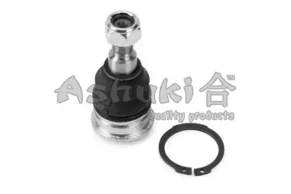 ashuki-14645050