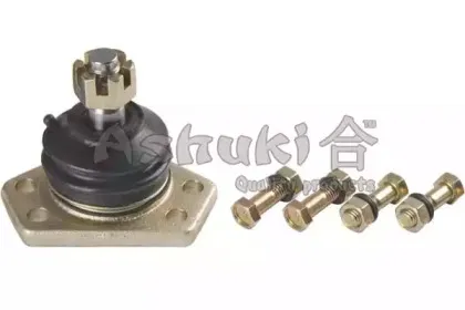 ashuki-14648002
