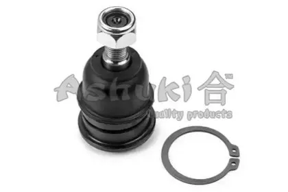 ashuki-14649002