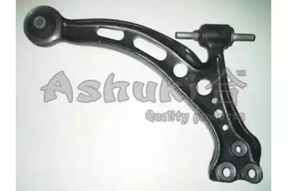 ashuki-14701202
