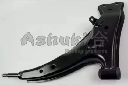 ashuki-14702002