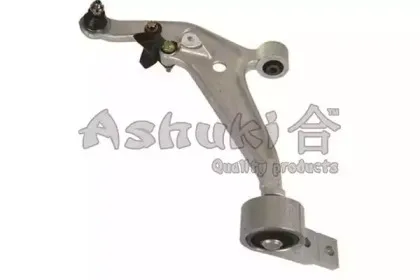 ashuki-14702201