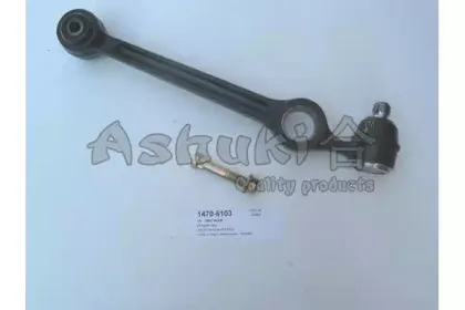 ashuki-14706103