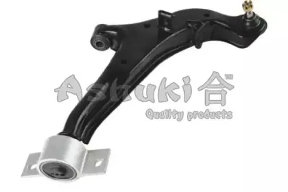 ashuki-14730201