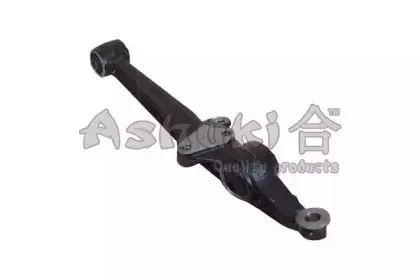 ashuki-14734004