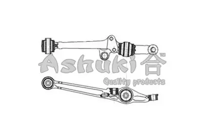 ashuki-14737004