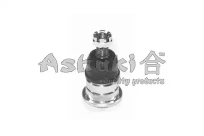 ashuki-14765005