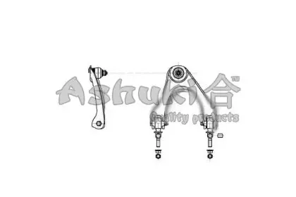 ashuki-14792004