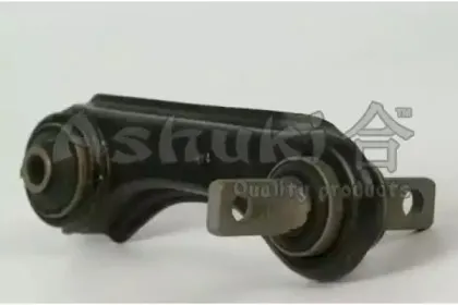 ashuki-14822005