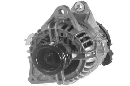 ashuki-15337605